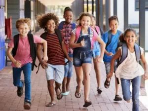 Executive Function Skills for Students: