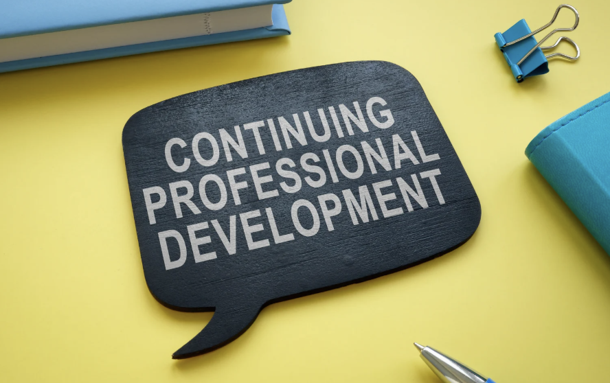 School professional development